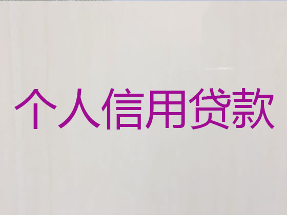 无锡抵押担保贷款-银行信用贷款